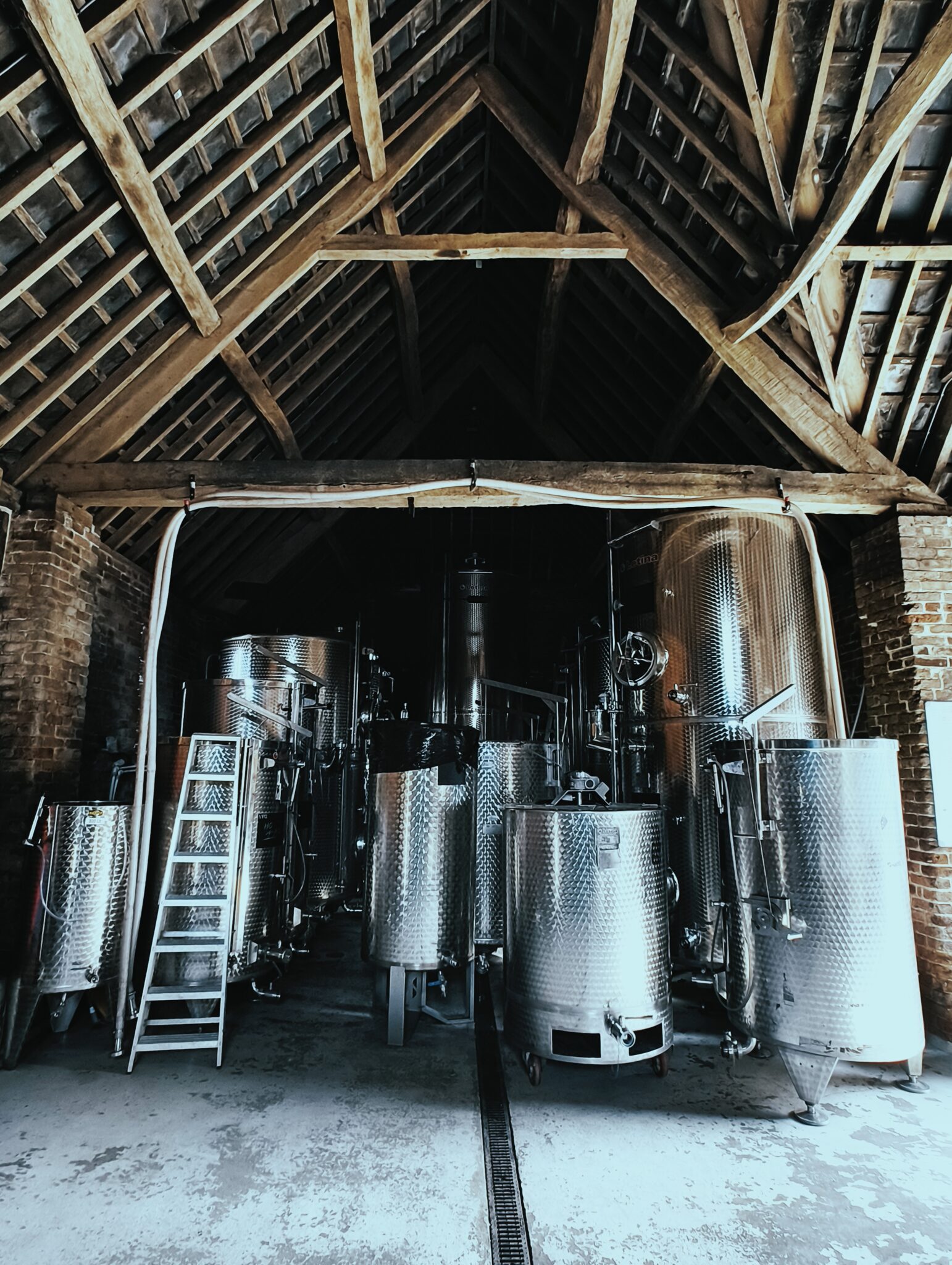 Le vignoble Langham © Fabienne Dupuis
