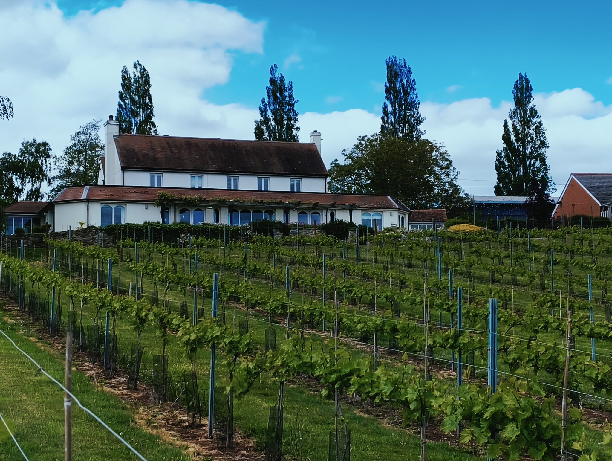 Le vignoble Three Choirs © Fabienne Dupuis