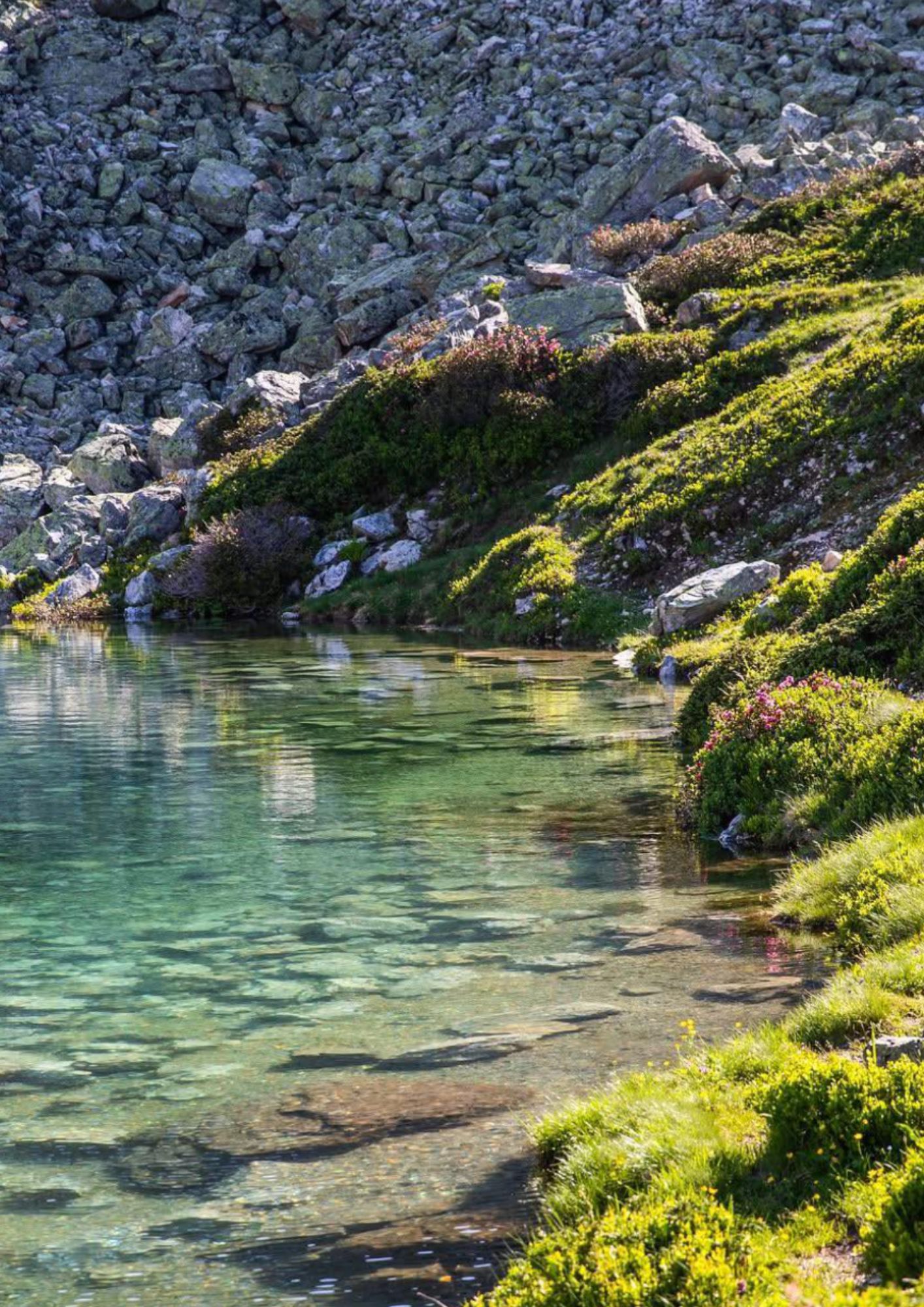 Méribel en été © La Chaudanne
