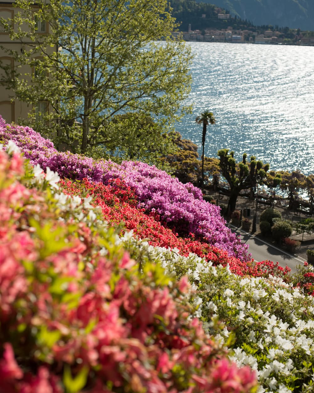 Villa Carlotta © DR
