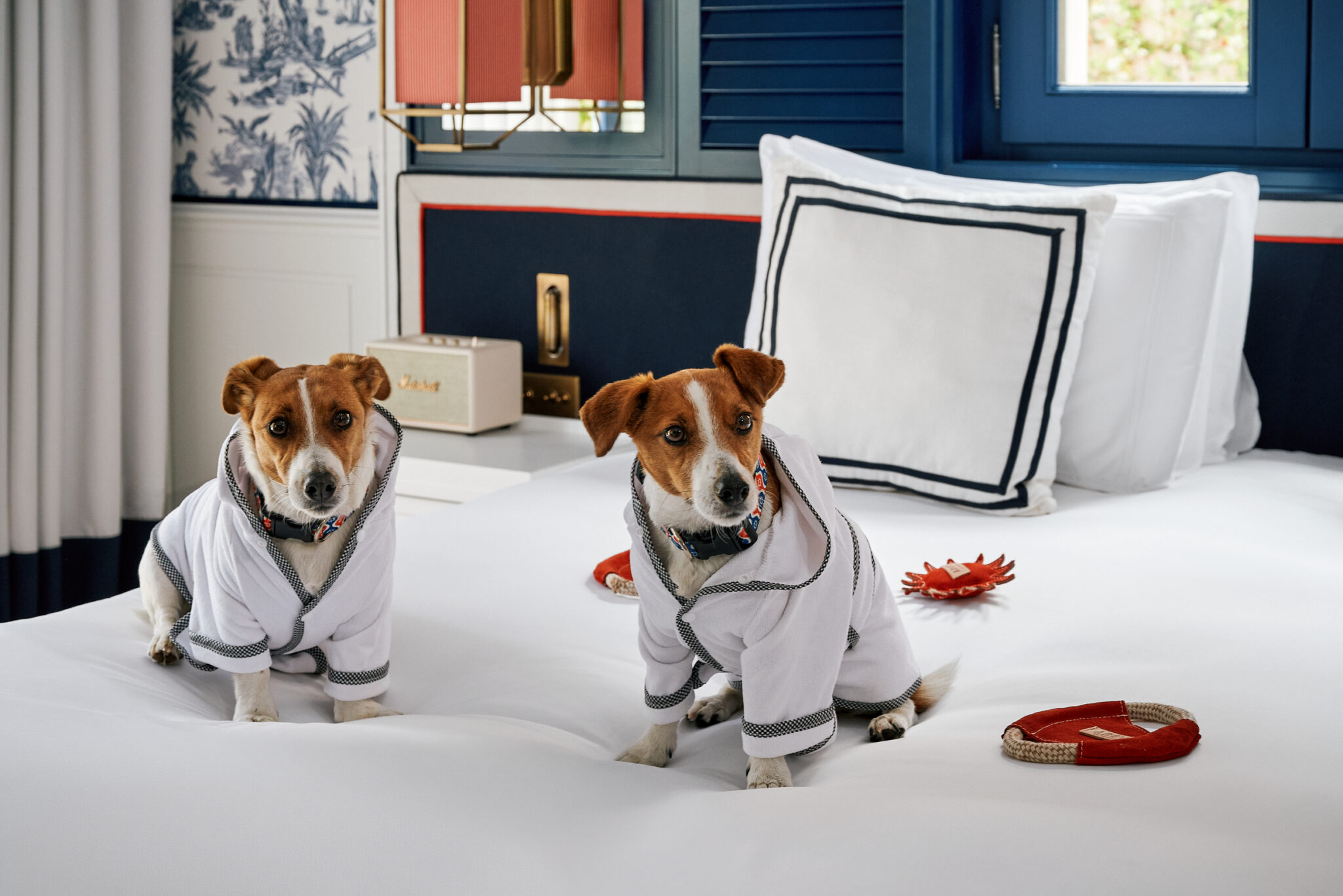 L'hôtel de luxe dog friendly © AREV St. Tropez