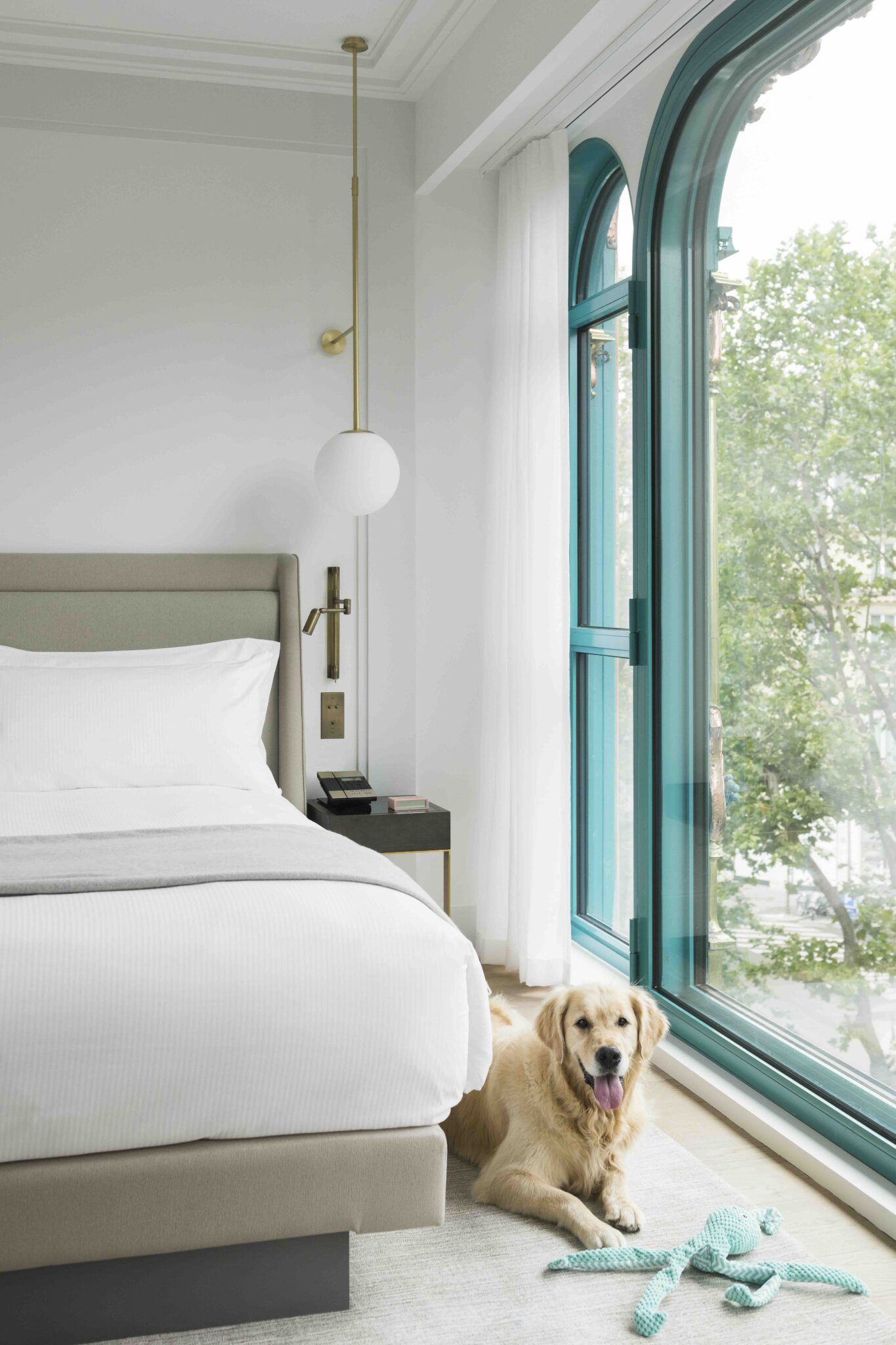 L'hôtel à Paris dog friendly © Thomas Deron