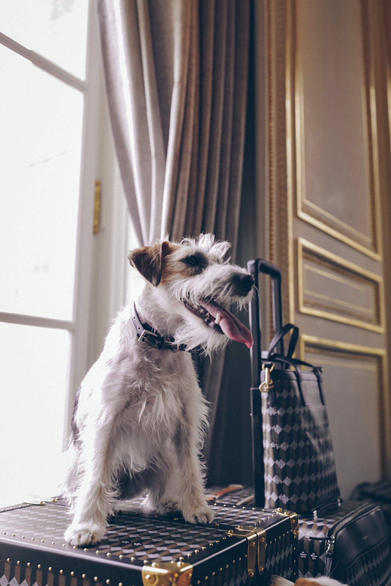 L'hôtel Crillon à Paris © Arthur de Kersauson