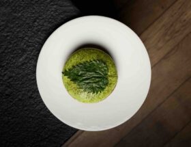 Recette de la Tartelette aux Escargots et Orties par le chef Mathieu Pérou du Manoir de la Régate
