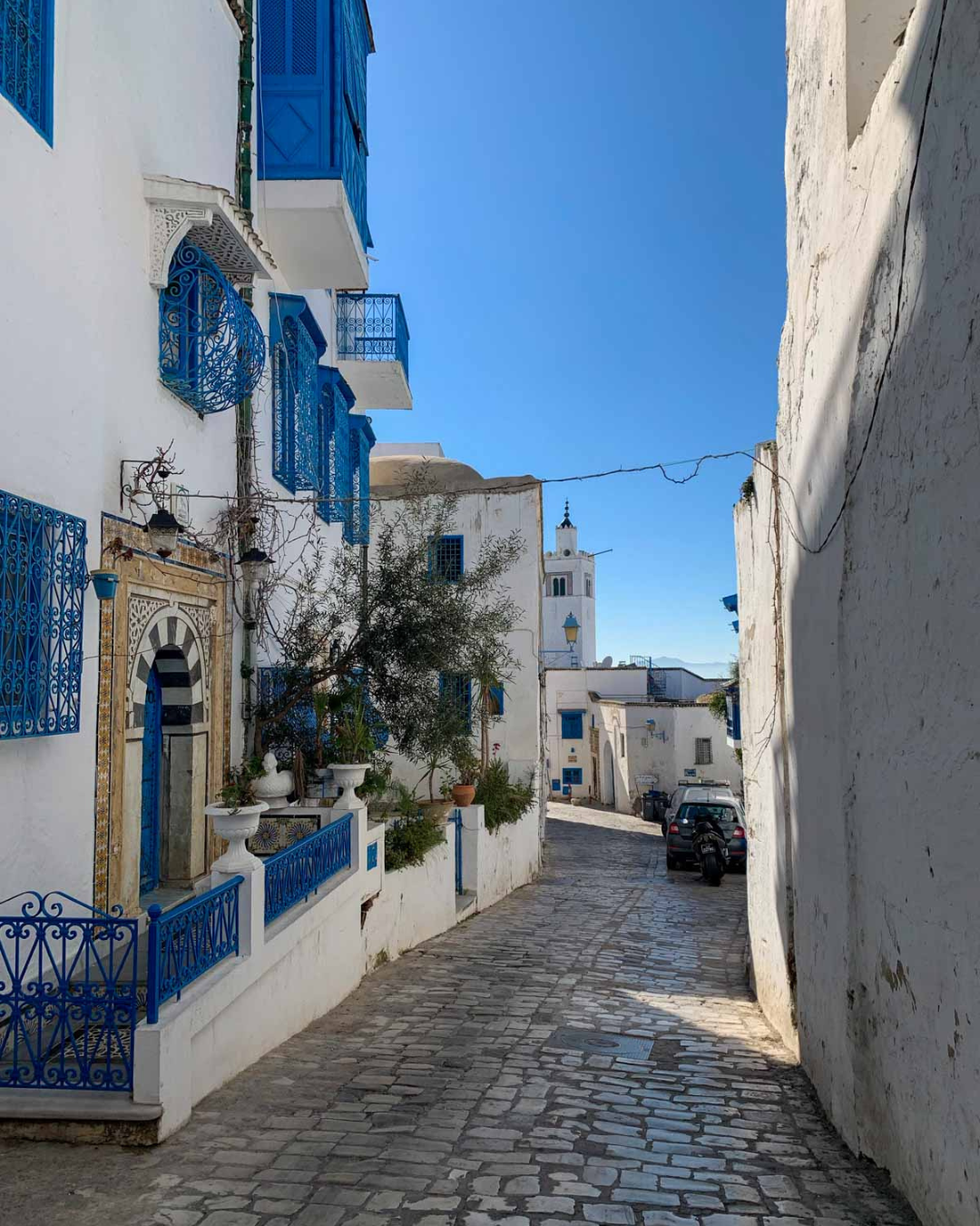 Sidi Bou Saïd à Tunis, un quartier aux allures grecques © Pierre Gunther