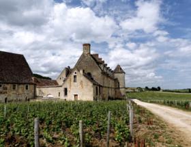 Week-end en Bourgogne : que voir, que faire et où dormir sur la Côte de Nuits